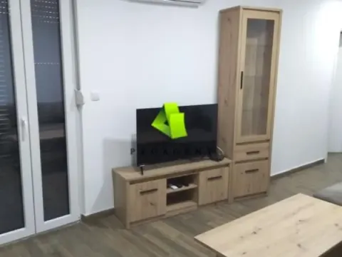 Izdavanje, jednosoban stan, 50m², Palilula, Niš - image 2