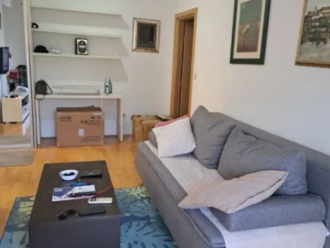 Izdavanje, jednosoban stan, 45m², Preko Morače, Podgorica - image 3