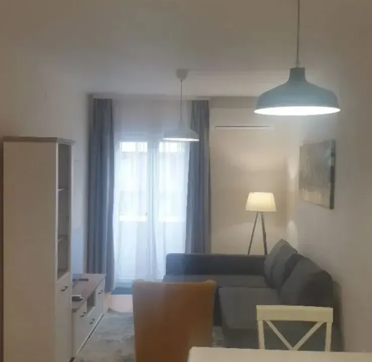 Izdavanje, jednosoban stan, 43m², Central Point, Podgorica