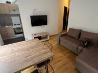 Izdavanje, jednosoban stan, 40m², Momišići, Podgorica - image 1