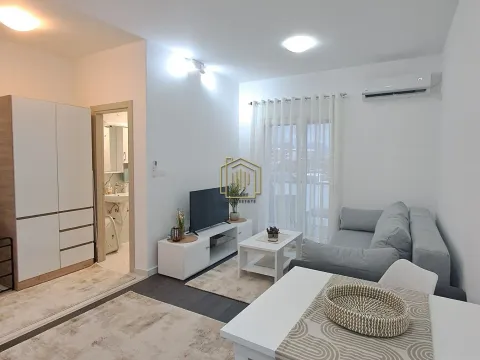 Rent, apartment, 26m², Zabjelo, Podgorica - image 14