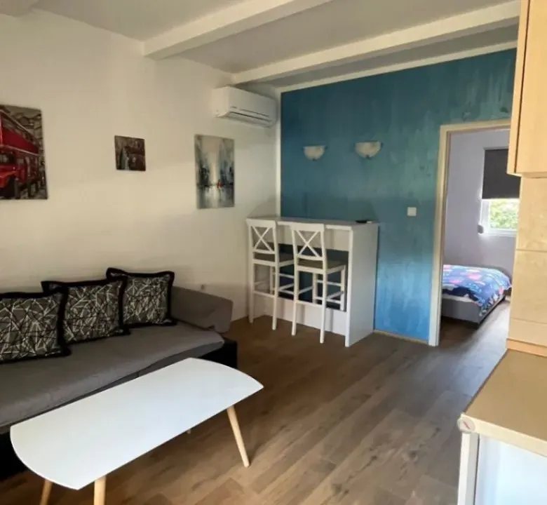 Rent, one bedroom apartment, 30m², Cetinje, Crna Gora