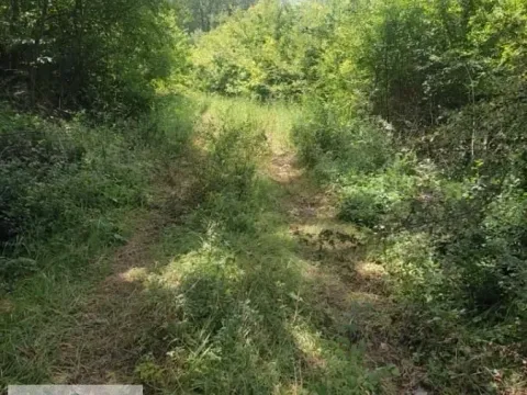 Sale, land lot, 7100m², Stubline, Obrenovac - image 3