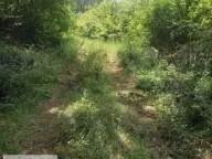 Prodaja, plac, 71m², Stubline, Obrenovac - image 3