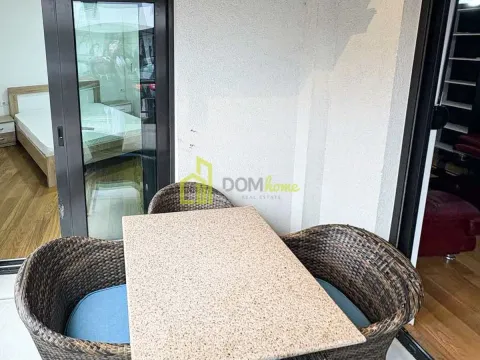 Izdavanje, jednosoban stan, 50m², Centar, Podgorica - image 4