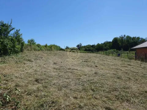 Prodaja, plac, 90000m², Bocke, Petrovaradin - image 5