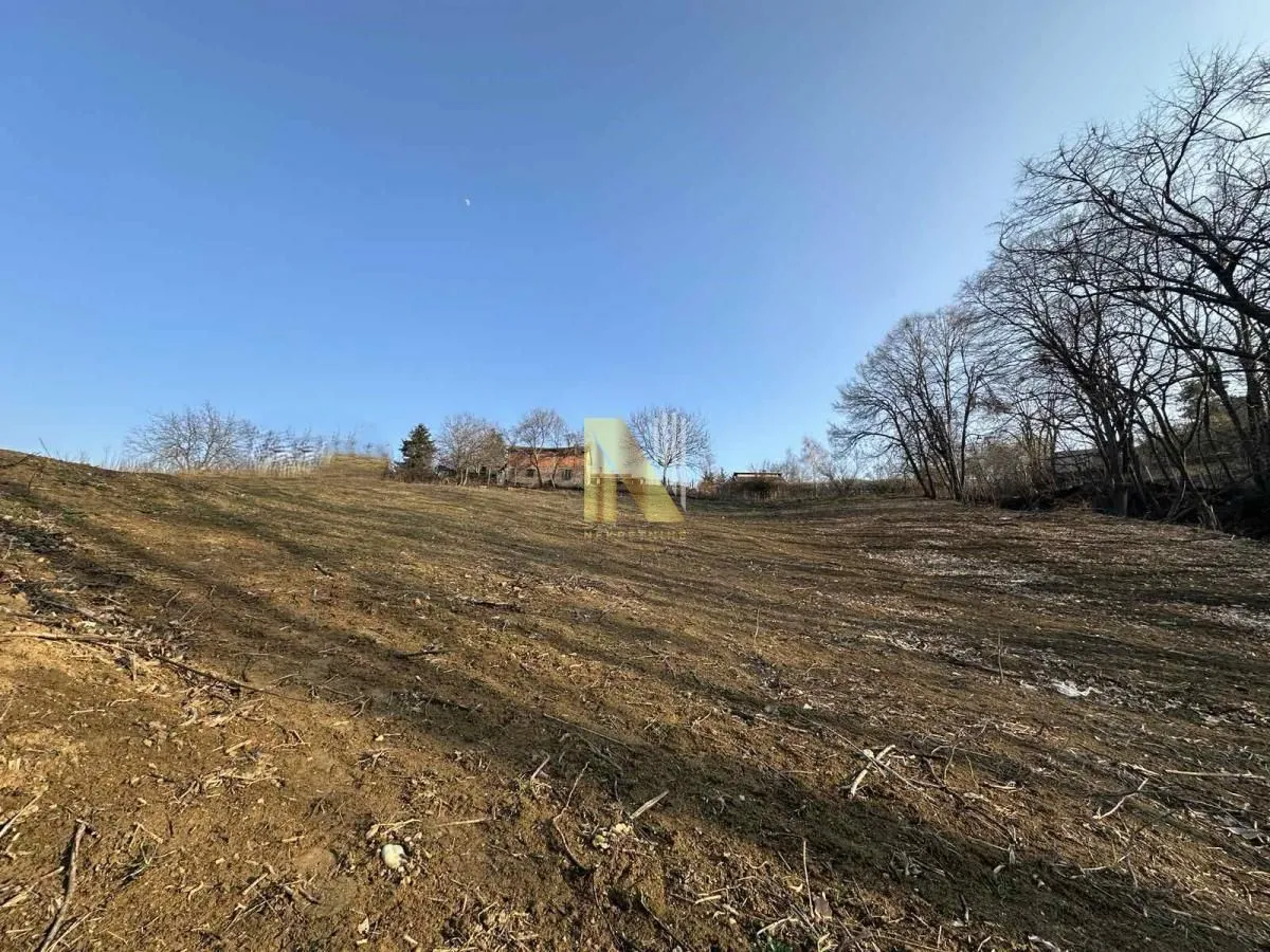 Prodaja, plac, 1500m², Sremska Kamenica, Petrovaradin