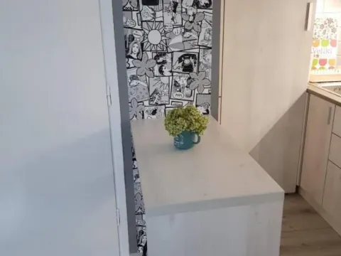 Izdavanje, garsonjera, 26m², Liman 3, Novi Sad Sve Podlokacije - image 6