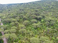 Prodaja, plac, 1046m², Herceg Novi, Crna Gora - image 5