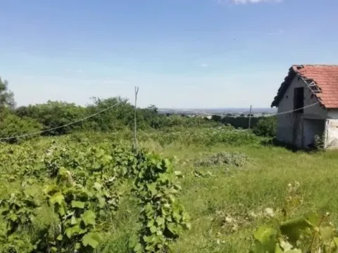 Prodaja, plac, 19500m², Koraćica, Mladenovac - image 8