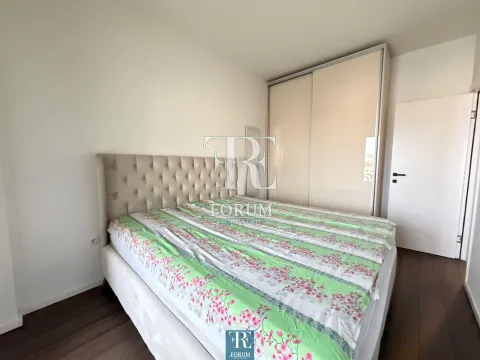 Izdavanje, jednosoban stan, 50m², Vezirov Most, Podgorica - image 7