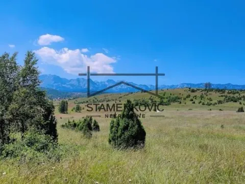 Prodaja, kuća, 96m², Žabljak II, Žabljak - image 5