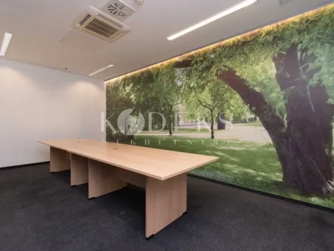 Izdavanje, poslovni prostor, 318m², Preko Morače, Podgorica - image 8