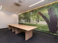 Izdavanje, poslovni prostor, 318m², Preko Morače, Podgorica - image 8