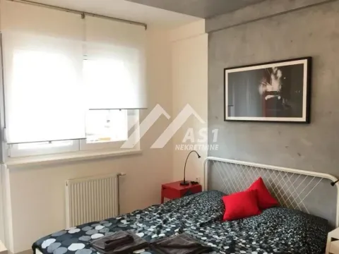 Rent, two bedroom apartment, 45m², Novi Sad Sve Podlokacije, Novi Sad - image 7