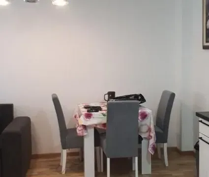 Izdavanje, dvosoban stan, 47m², Petrovaradin, Novi Sad - image 5