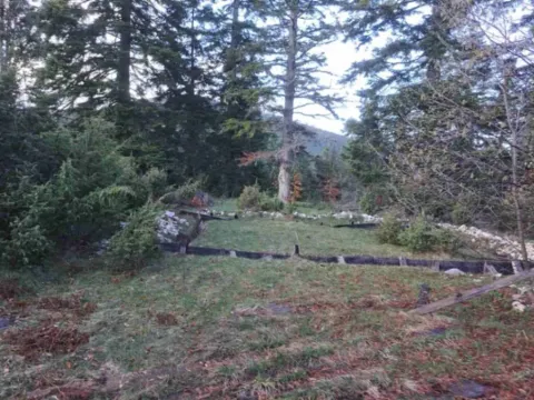 Sale, land lot, 10500m², Stublo, Čajetina - image 4