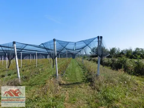 Sale, land lot, 350m², Kragujevac, Srbija - image 9
