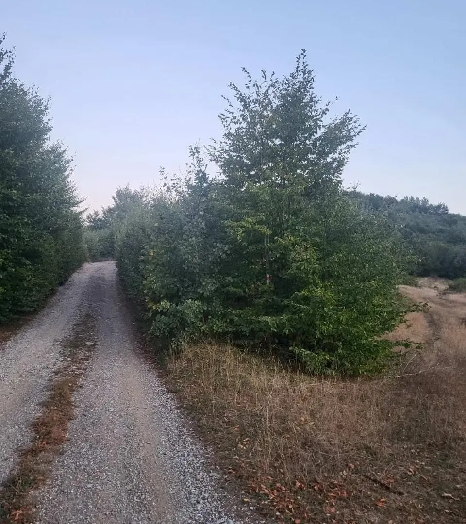 Prodaja, plac, 600m², Kolašin, Crna Gora