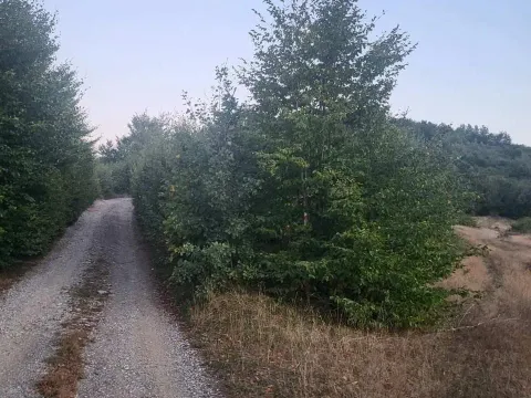 Prodaja, plac, 600m², Kolašin, Crna Gora - image 3