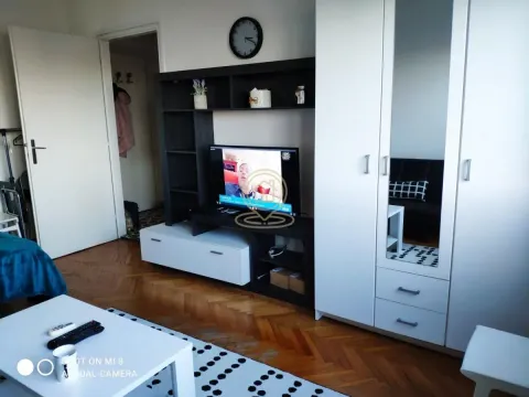 Izdavanje, jednosoban stan, 35m², Stari Grad, Beograd - image 5