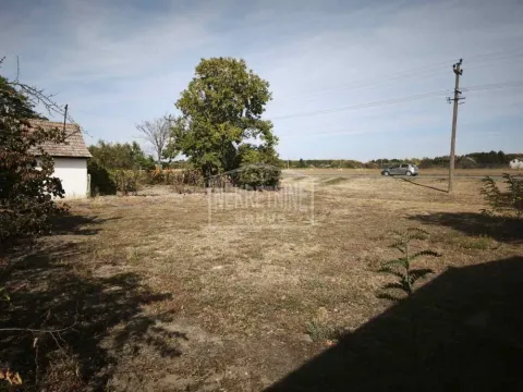 Pogled na prostrano dvorište sa drvećem i okolnim pejzažem. - image 4