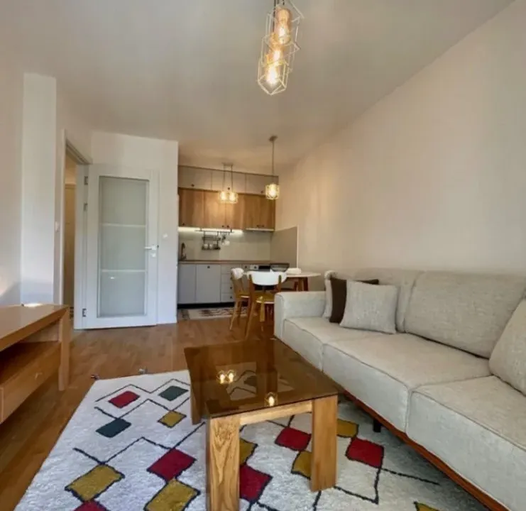 Izdavanje, jednosoban stan, 42m², Pobrežje, Podgorica