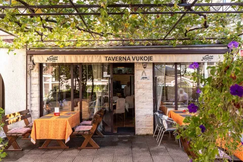 Charming outdoor restaurant terrace with tables under a grapevine trellis. - image 8