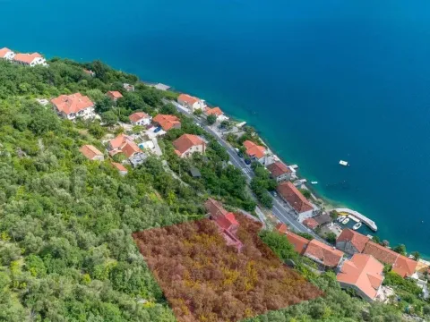 Prodaja, kuća, Dražin Vrt, Kotor - image 3