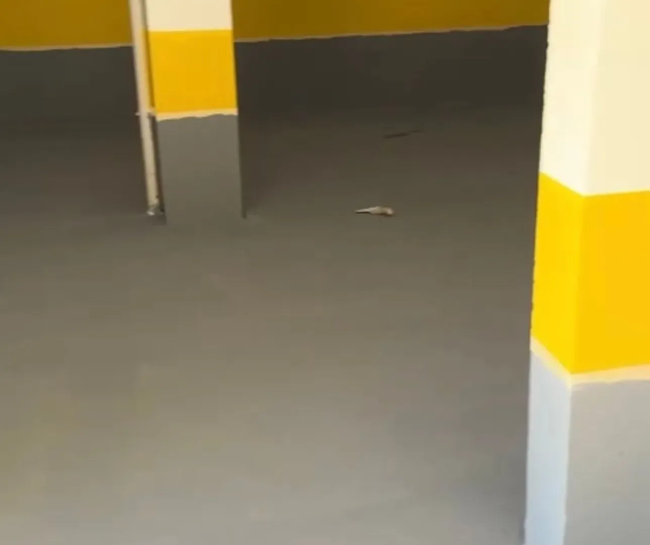 Sale, parking/garage, 35m², Pržno, Budva