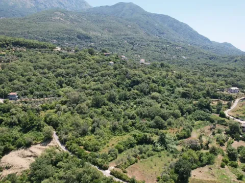 Prodaja, plac, 3000m², Radanovići, Kotor - image 21