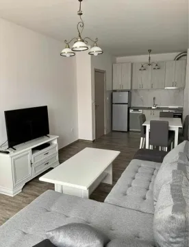 Izdavanje, jednosoban stan, 45m², Tuški Put, Podgorica - image 8