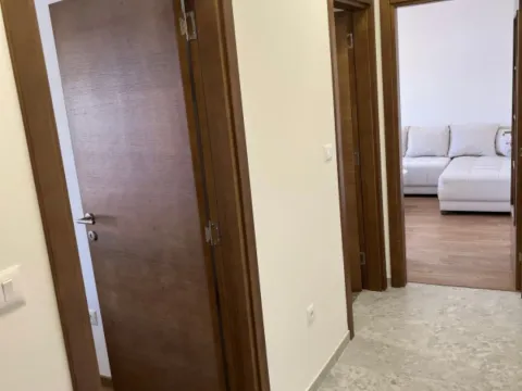 Izdavanje, jednosoban stan, 50m², Zagorič, Podgorica - image 10