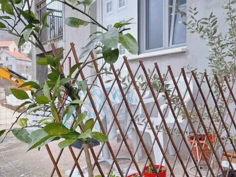 Rent, one bedroom apartment, 30m², Donja Lastva, Tivat - image 8