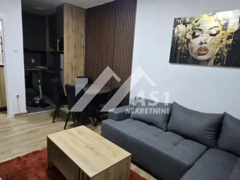 Izdavanje, jednosoban stan, 38m², Nova Detelinara, Novi Sad Sve Podlokacije - image 3