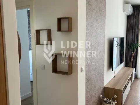 Izdavanje, dvosoban stan, 54m², Savski Venac, Beograd - image 7