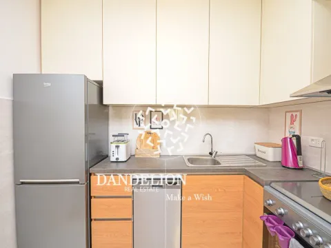 Izdavanje, jednosoban stan, 49m², Central Point, Podgorica - image 3