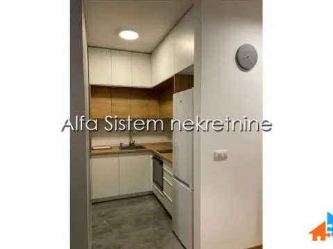 Izdavanje, dvosoban stan, 39m², Vračar Sve Podlokacije, Beograd - image 5