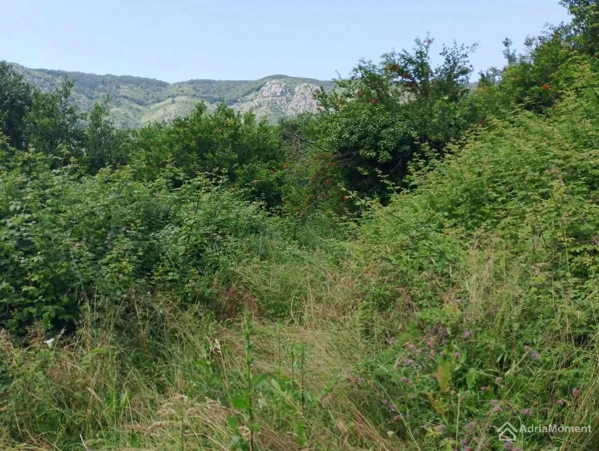 Prodaja, plac, 1739m², Kotor, Crna Gora