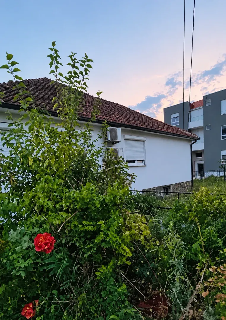 Pogled na dvorište i spoljašnjost kuće sa zelenilom.