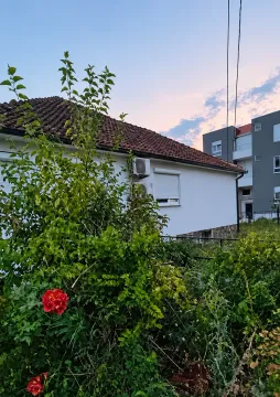 Pogled na dvorište i spoljašnjost kuće sa zelenilom. - image 4