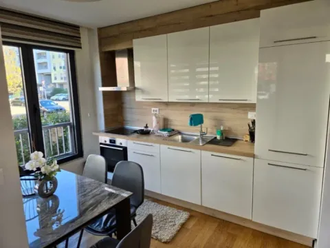 Izdavanje, jednosoban stan, 45m², Blok 9, Podgorica - image 7