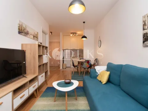 Izdavanje, jednosoban stan, 39m², Central Point, Podgorica - image 1