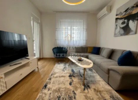 Izdavanje, jednosoban stan, 47m², Stari Aerodrom, Podgorica