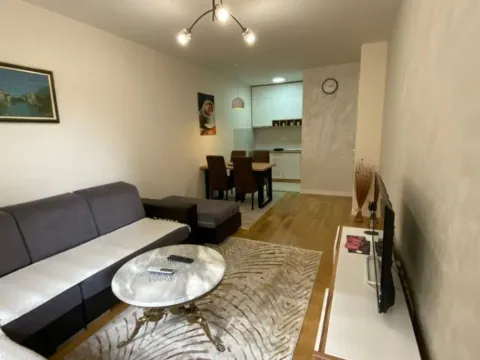 Izdavanje, jednosoban stan, 47m2, Central Point, Podgorica Izdavanje, jednosoban stan, 47m2, Central Point, Podgorica