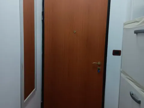 Rent, studio apartment, 30m², Zabjelo, Podgorica - image 8