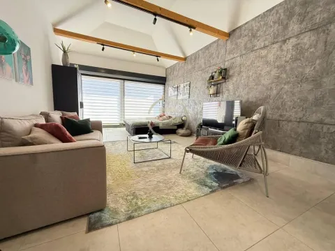 Sale, house, 165m², Petrovaradin, Novi Sad - image 59