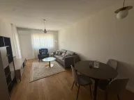 Izdavanje, jednosoban stan, 49m², Central Point, Podgorica - image 1