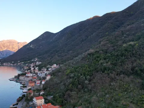 Prodaja, plac, 19000m², Stoliv, Kotor - image 2