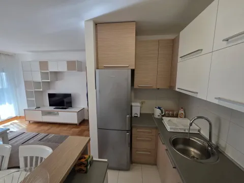 Rent, one bedroom apartment, 44m², Stari Aerodrom, Podgorica - image 9